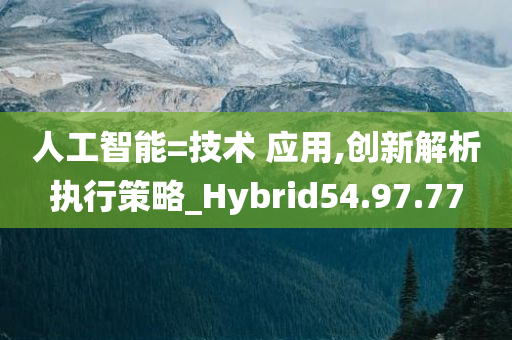 人工智能=技术 应用,创新解析执行策略_Hybrid54.97.77