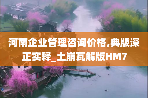 河南企业管理咨询价格,典版深正实释_土崩瓦解版HM7