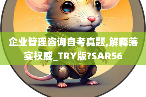 企业管理咨询自考真题,解释落实权威_TRY版?SAR56