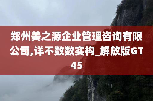 郑州美之源企业管理咨询有限公司,详不数数实构_解放版GT45