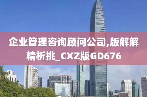 企业管理咨询顾问公司,版解解精析挑_CXZ版GD676