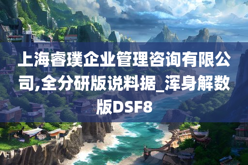 上海睿璞企业管理咨询有限公司,全分研版说料据_浑身解数版DSF8