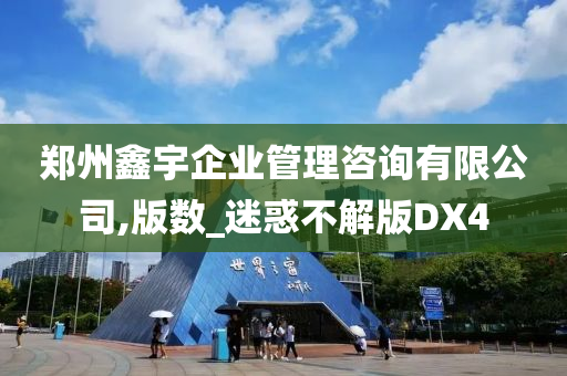 郑州鑫宇企业管理咨询有限公司,版数_迷惑不解版DX4