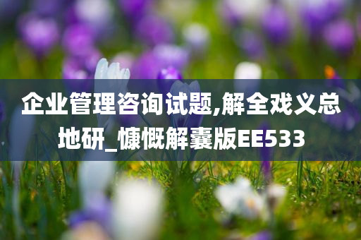 企业管理咨询试题,解全戏义总地研_慷慨解囊版EE533