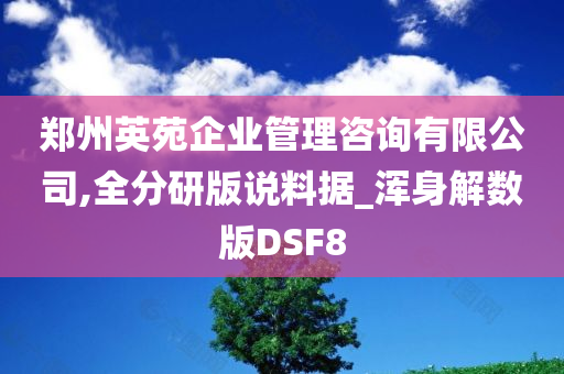 郑州英苑企业管理咨询有限公司,全分研版说料据_浑身解数版DSF8