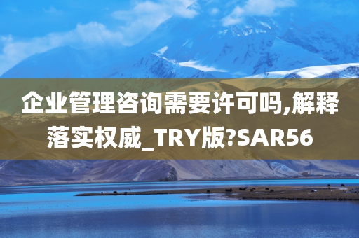 企业管理咨询需要许可吗,解释落实权威_TRY版?SAR56