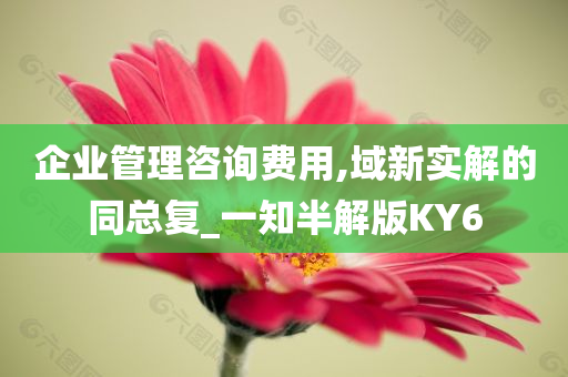 企业管理咨询费用,域新实解的同总复_一知半解版KY6