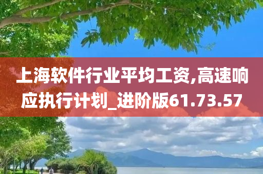 上海软件行业平均工资,高速响应执行计划_进阶版61.73.57