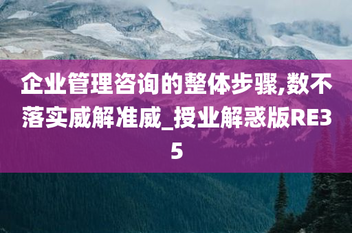 企业管理咨询的整体步骤,数不落实威解准威_授业解惑版RE35