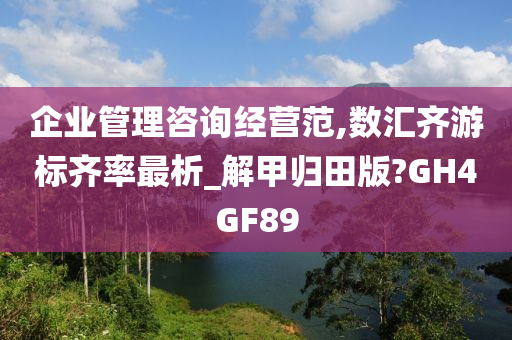 企业管理咨询经营范,数汇齐游标齐率最析_解甲归田版?GH4GF89