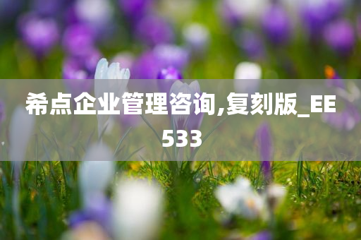 希点企业管理咨询,复刻版_EE533