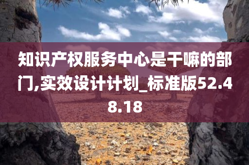 知识产权服务中心是干嘛的部门,实效设计计划_标准版52.48.18