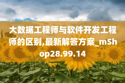 大数据工程师与软件开发工程师的区别,最新解答方案_mShop28.99.14