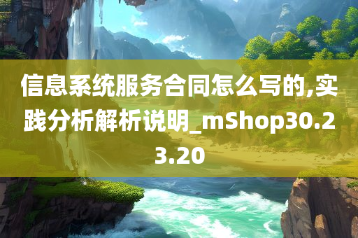 信息系统服务合同怎么写的,实践分析解析说明_mShop30.23.20