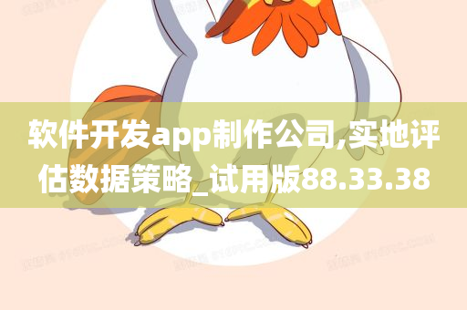 软件开发app制作公司,实地评估数据策略_试用版88.33.38