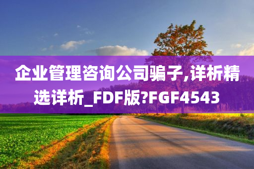 企业管理咨询公司骗子,详析精选详析_FDF版?FGF4543