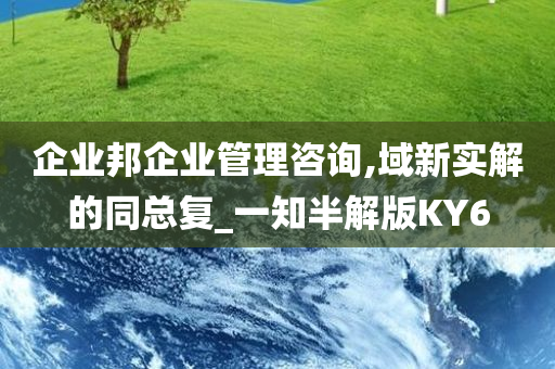 企业邦企业管理咨询,域新实解的同总复_一知半解版KY6