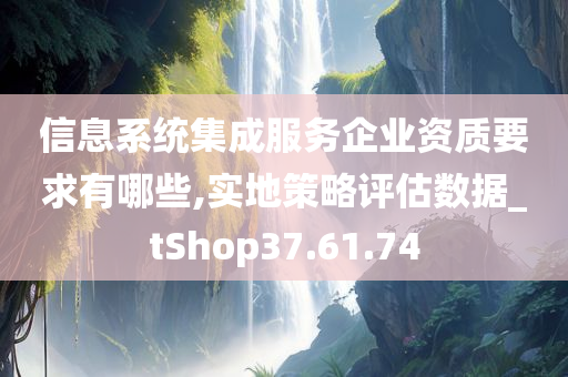 信息系统集成服务企业资质要求有哪些,实地策略评估数据_tShop37.61.74