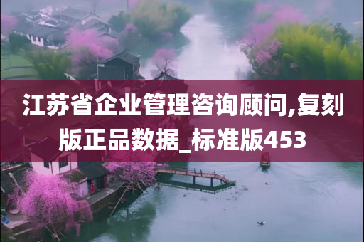 江苏省企业管理咨询顾问,复刻版正品数据_标准版453