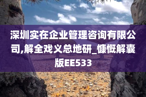 深圳实在企业管理咨询有限公司,解全戏义总地研_慷慨解囊版EE533