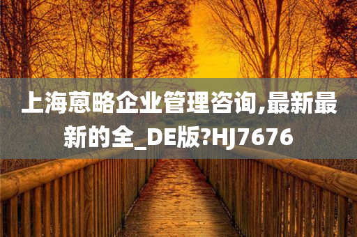 上海蒽略企业管理咨询,最新最新的全_DE版?HJ7676