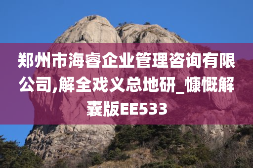 郑州市海睿企业管理咨询有限公司,解全戏义总地研_慷慨解囊版EE533