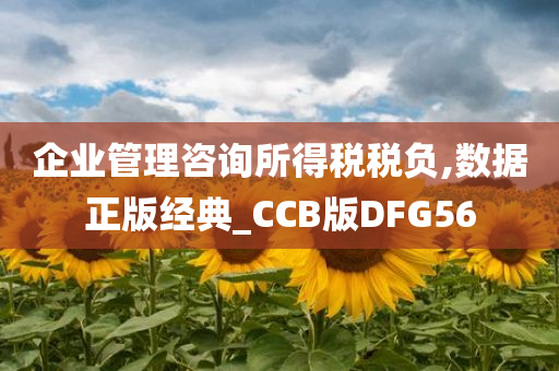 企业管理咨询所得税税负,数据正版经典_CCB版DFG56