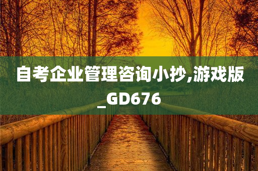 自考企业管理咨询小抄,游戏版_GD676