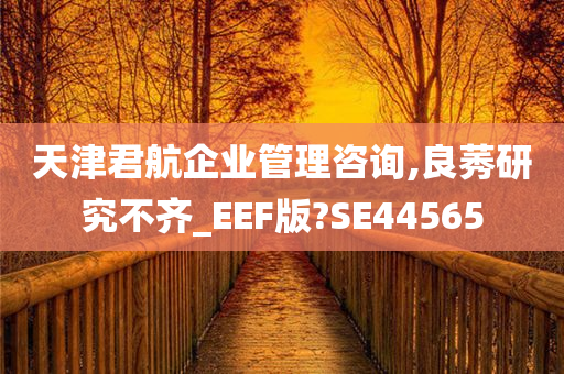 天津君航企业管理咨询,良莠研究不齐_EEF版?SE44565