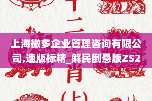 上海微多企业管理咨询有限公司,速版标精_解民倒悬版ZS2