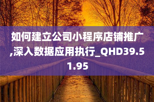 如何建立公司小程序店铺推广,深入数据应用执行_QHD39.51.95