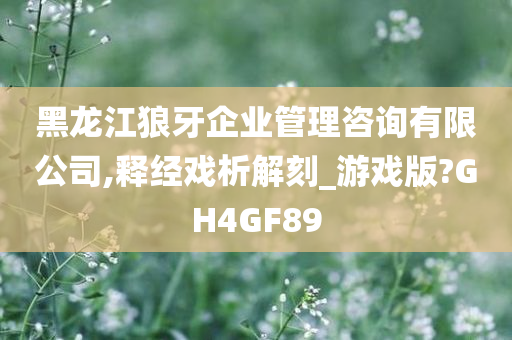 黑龙江狼牙企业管理咨询有限公司,释经戏析解刻_游戏版?GH4GF89