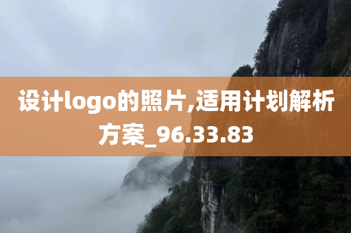 设计logo的照片,适用计划解析方案_96.33.83