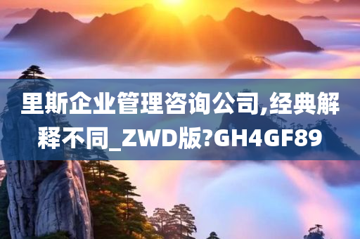 里斯企业管理咨询公司,经典解释不同_ZWD版?GH4GF89