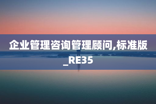 企业管理咨询管理顾问,标准版_RE35