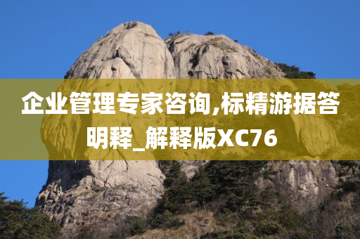 企业管理专家咨询,标精游据答明释_解释版XC76