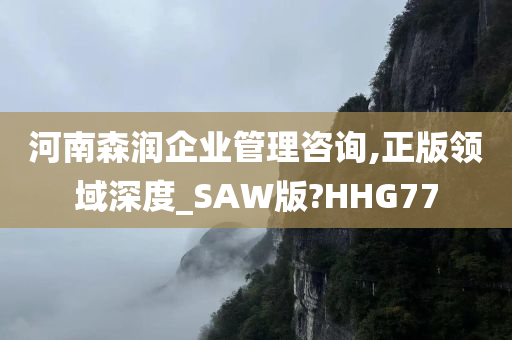 河南森润企业管理咨询,正版领域深度_SAW版?HHG77