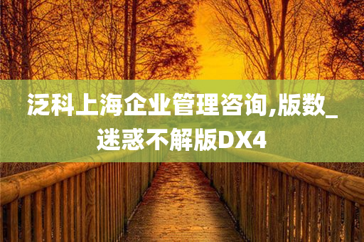 泛科上海企业管理咨询,版数_迷惑不解版DX4