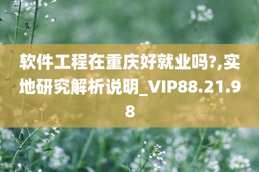 软件工程在重庆好就业吗?,实地研究解析说明_VIP88.21.98