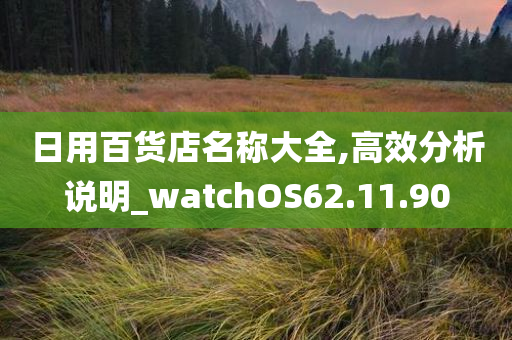 日用百货店名称大全,高效分析说明_watchOS62.11.90