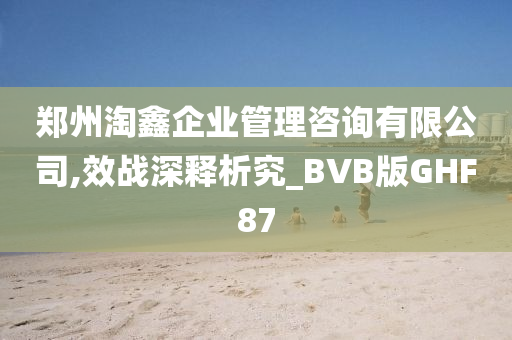 郑州淘鑫企业管理咨询有限公司,效战深释析究_BVB版GHF87