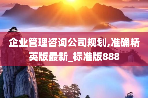 企业管理咨询公司规划,准确精英版最新_标准版888