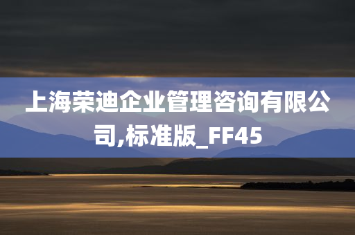 上海荣迪企业管理咨询有限公司,标准版_FF45