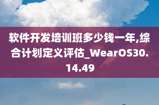 软件开发培训班多少钱一年,综合计划定义评估_WearOS30.14.49