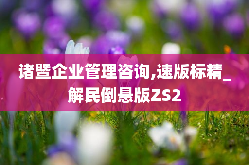 诸暨企业管理咨询,速版标精_解民倒悬版ZS2