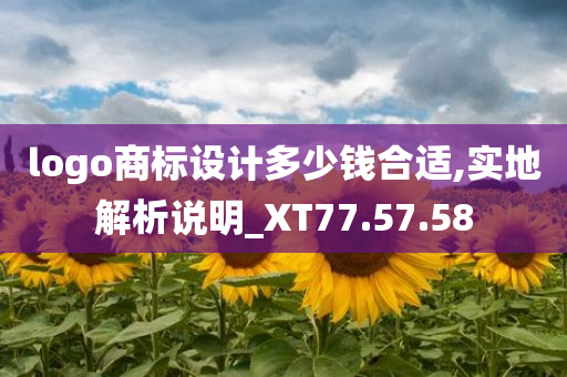 logo商标设计多少钱合适,实地解析说明_XT77.57.58