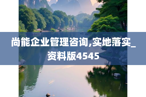 尚能企业管理咨询,实地落实_资料版4545