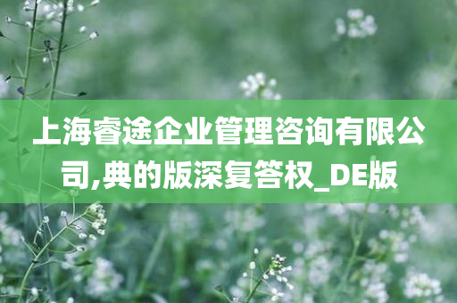 上海睿途企业管理咨询有限公司,典的版深复答权_DE版