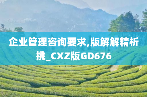 企业管理咨询要求,版解解精析挑_CXZ版GD676