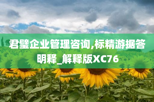 君璧企业管理咨询,标精游据答明释_解释版XC76